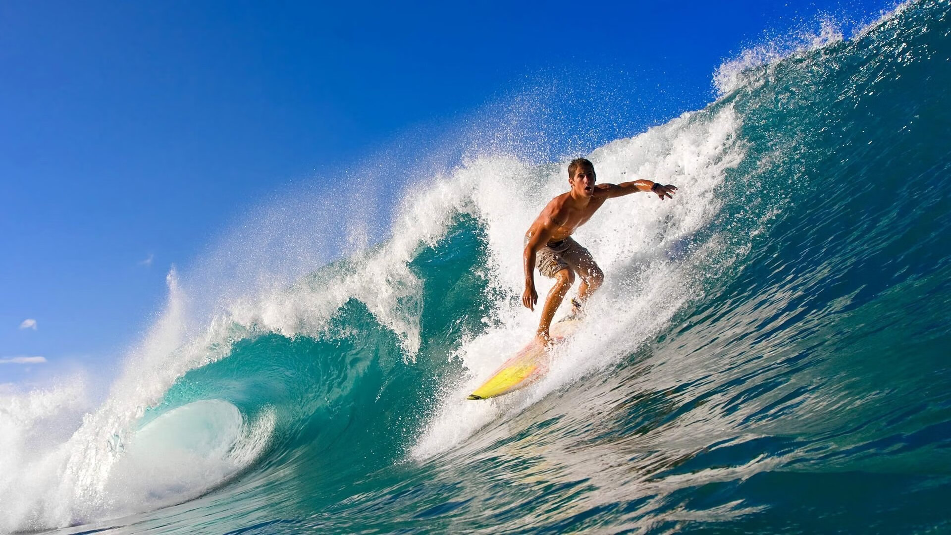 EDG赛训体系入选“体育教育融合创新案例”